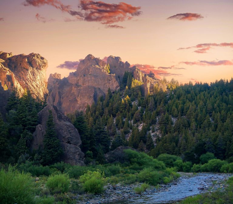 The Calm Within Chaos: Why Repetitive Motions Ease the Mind