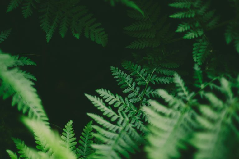 Color Gradients and Mood Shifts: How Smooth Transitions Soothe Anxiety