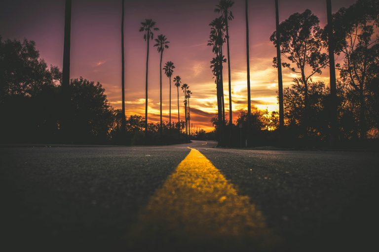 Why Symmetry Feels So Satisfying to Look At