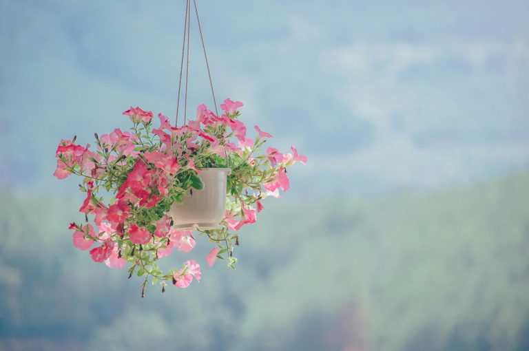The Science Behind Satisfying Sounds: Why Our Brains Love Them