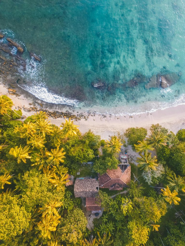 Visual Serenity: How Your Surroundings Quiet the Mind